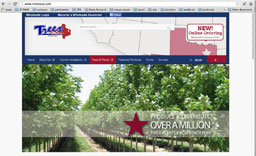 Trees USA